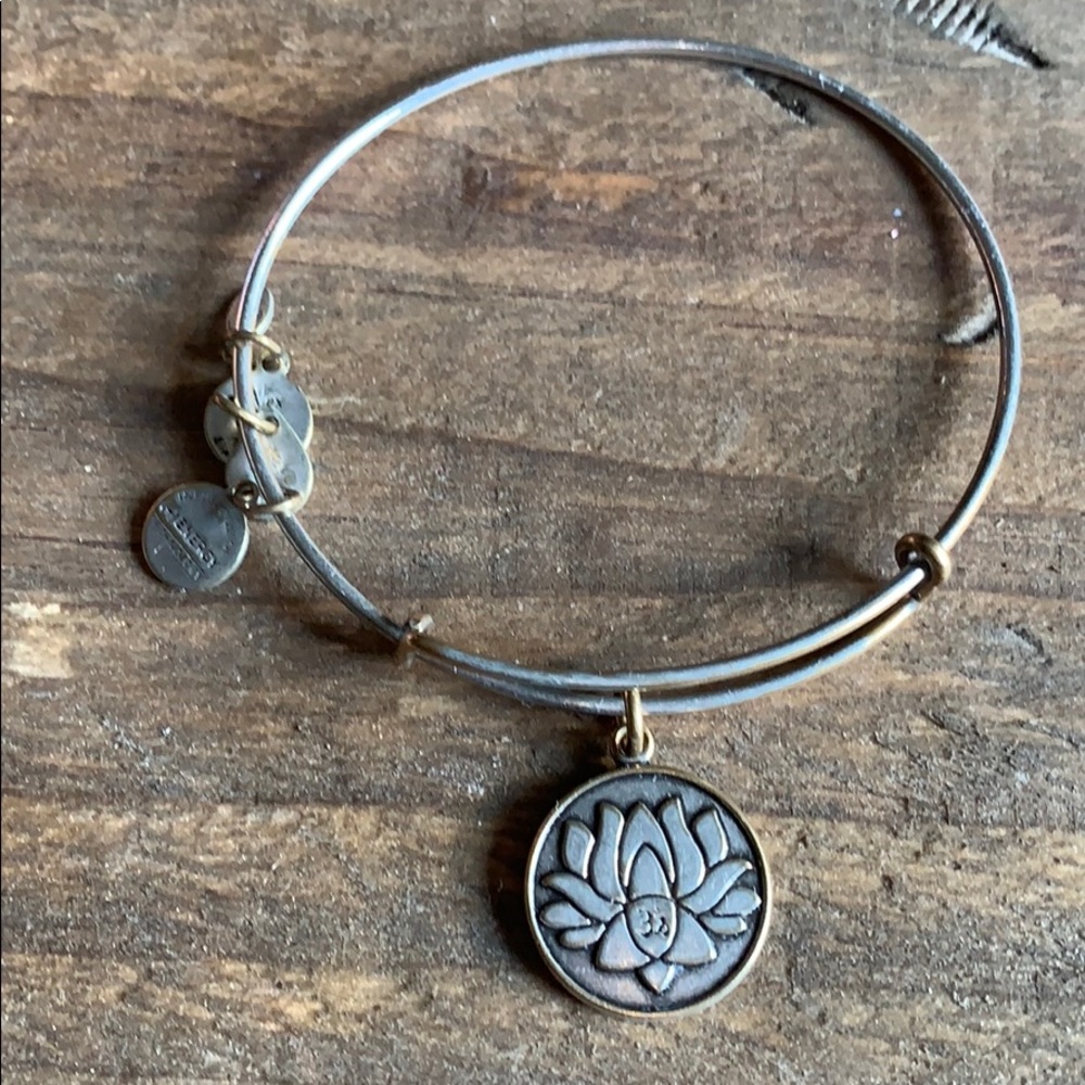 Alex & Ani bracelet